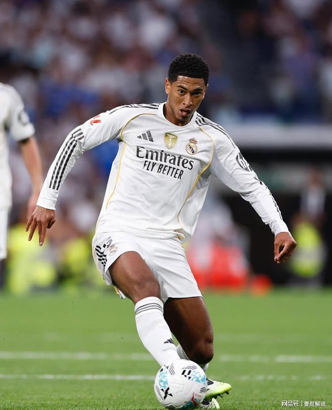 这次官宣将 这次官宣将